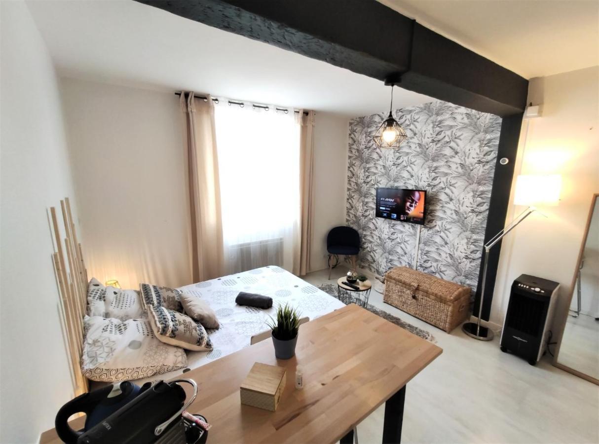 Apartament Le Jasmin Des Carmes - Hypercentre - Netflix Tuluza Zewnętrze zdjęcie