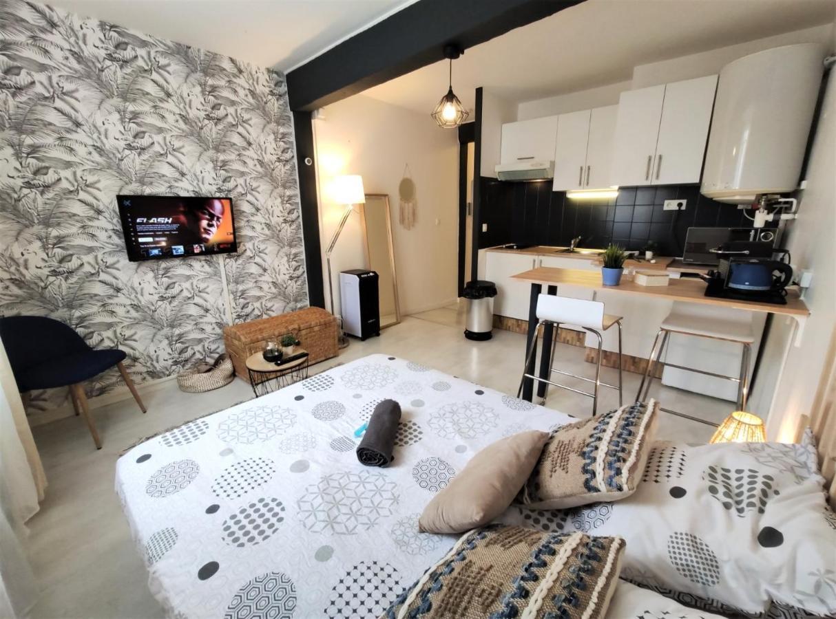 Apartament Le Jasmin Des Carmes - Hypercentre - Netflix Tuluza Zewnętrze zdjęcie